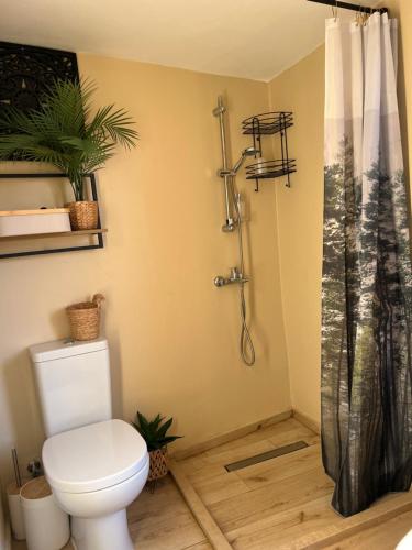 a bathroom with a toilet and a shower at Katerina's House in Volímai
