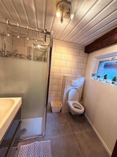 a bathroom with a toilet and a sink and a shower at Chez l'Alsacienne in Andlau