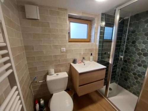 ein Badezimmer mit Toilette, Waschbecken und Dusche in der Unterkunft Au petit hameau Cabrespine in Cabrespine