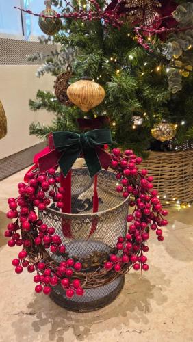 Φωτογραφία από το άλμπουμ του Hotel Central στο Ζάγκρεμπ