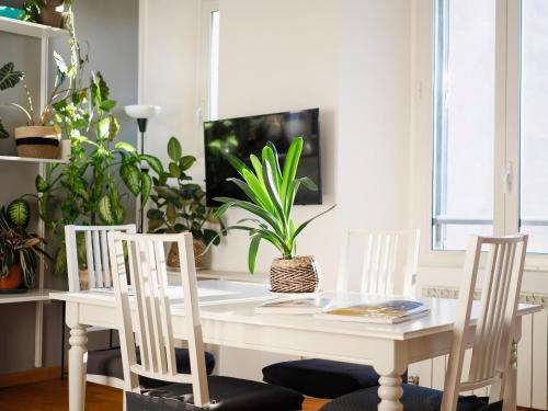 Modern Bright and Central Apartment