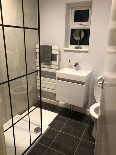 a bathroom with a shower and a sink and a toilet at 1 bedroom flat 15 minutes from Oxford Circus in London