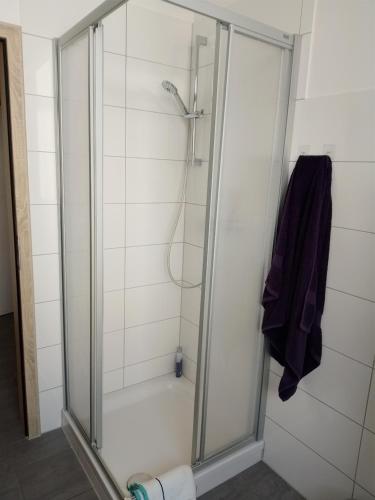 Pension am Bahnhof Mühlhausen في مولهاوزن: حمام مع دش وباب زجاجي