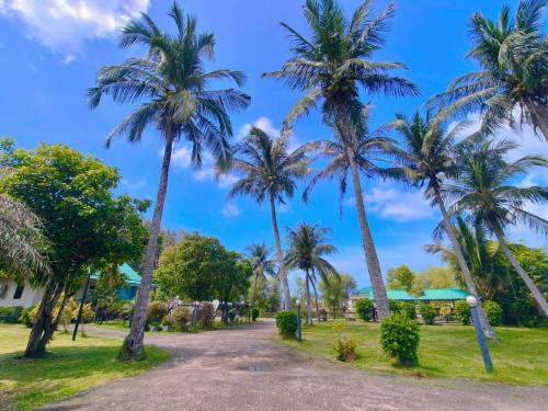 Zahrada ubytování The Coco Grand Chalet