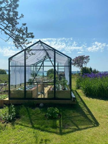 Zahrada ubytování Romantic Country Cabin With Fjord Views On Åmøy