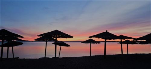 a group of umbrellas on a beach at sunset at Apartement Irena Vir in Vir