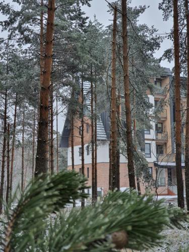 a house is seen through a forest of trees at Zmaj 16 in Divčibare