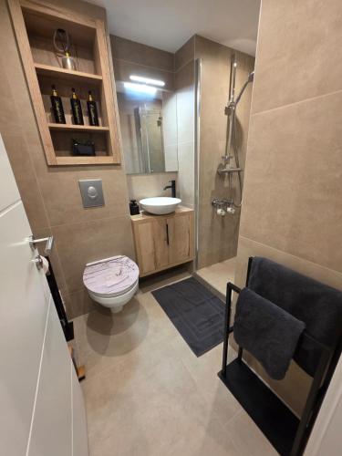 a bathroom with a toilet and a sink at TeMax Lux Hahnenklee in Goslar