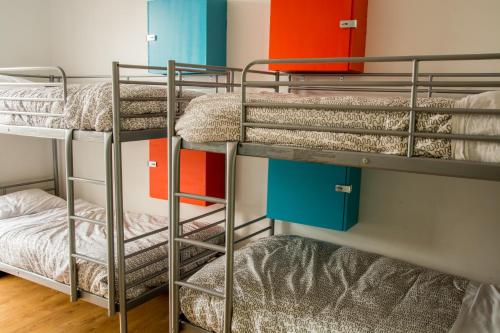 a group of bunk beds in a dorm room at Wicked Hostels - Calgary in Calgary