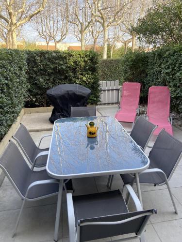 St Cyprien bel appartement rez de jardin en residence