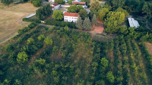 a white house in the middle of a field with trees at Privates Ferienhaus mit großem Garten in Rauen