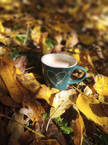 Φωτογραφία από το άλμπουμ του Family owned self sufficient ECO farm TARA σε Pljevlja