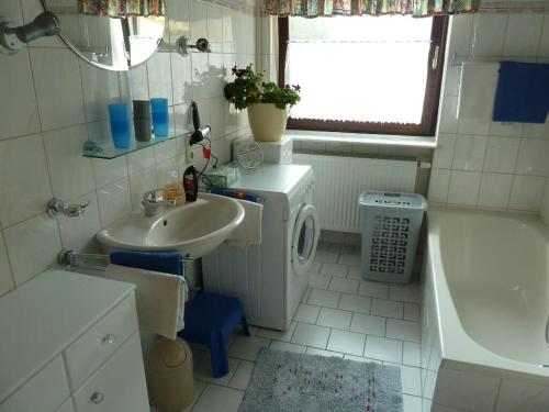 a bathroom with a sink and a washing machine at Seidl's Ilztalfewo in Witzmannsberg