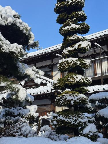 a snow covered pine tree in front of a building at Inaka Lodge - Countryside Stay in Nakano