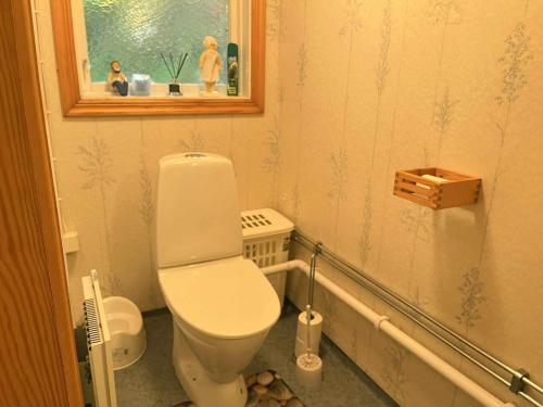 a small bathroom with a toilet and a mirror at Dog-friendly cottage with boat & private jetty at Tjörn SE09170 in Krommeröd