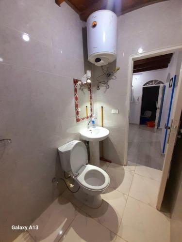 a bathroom with a white toilet and a sink at Nile Flower Guesthouse in Luxor
