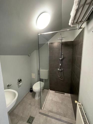 a bathroom with a shower and a toilet and a sink at Teka Guesthouse in Gherla