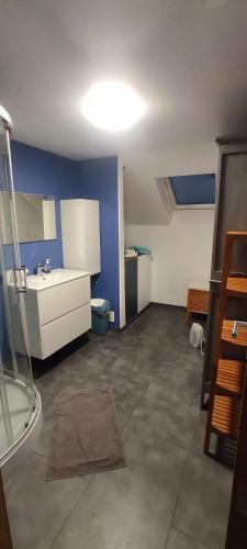 a bathroom with a sink and a toilet in a room at Le Flanelmont in Theux