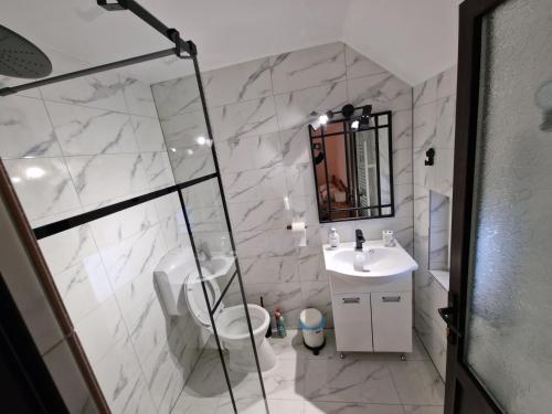 a bathroom with a toilet and a sink and a mirror at Căsuța Alpină in Ranca