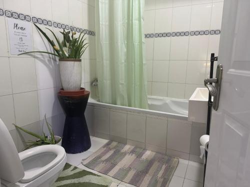 Φωτογραφία από το άλμπουμ του Basic Private Room with attached bathroom - No Parking Space στο Άμπου Ντάμπι