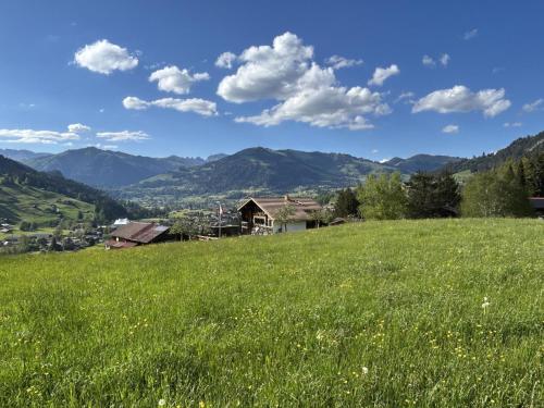 a field of green grass with mountains in the background at Apartment Alpenchalet Haldeli Dachwohnung by Interhome in Gstaad