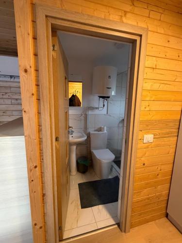 a bathroom with a toilet and a sink at Bungalow Chilia in Mănăstirea Humorului