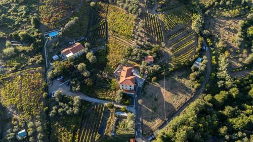 Agriturismo La Collina Verde