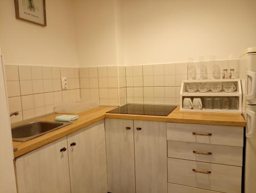 uma pequena cozinha com pia e fogão em Apartment GARDEN 1 CENTER em Novi Sad