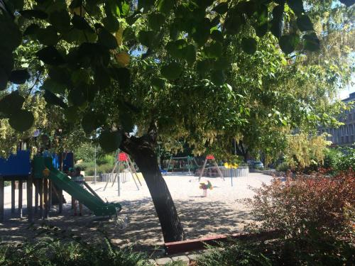 a playground with a tree and a slide at Rosmarinus Apartman in Pécs