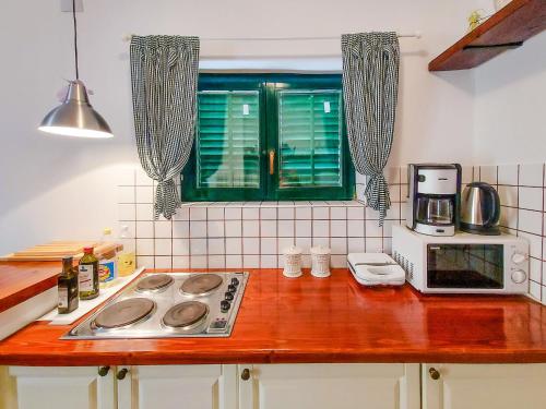 BrzacにあるHoliday Home Sandra by Interhomeのキッチン(木製カウンタートップ、電子レンジ付)