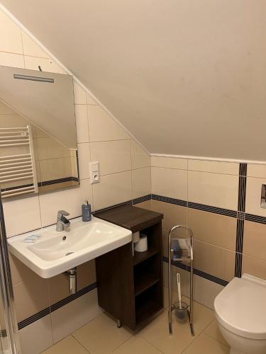a bathroom with a sink and a toilet at Penzion Marjána in Mníšek pod Brdy