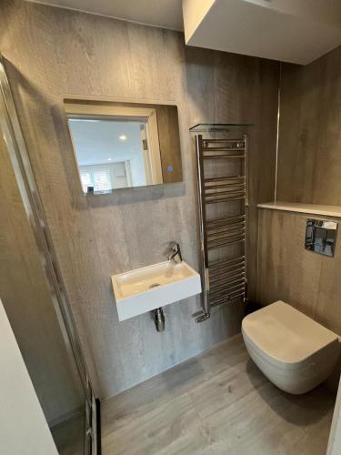 a bathroom with a toilet and a sink and a mirror at River Studio Sleeps 2 with Parking & Dog Friendly in Southampton