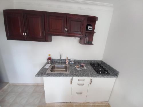 Una cocina con gabinetes de madera y un fregadero. en Casa Petter and Maria, 2end floor, en Santiago de los Caballeros