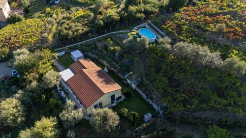 Bazén v ubytování Agriturismo La Collina Verde nebo v jeho okolí