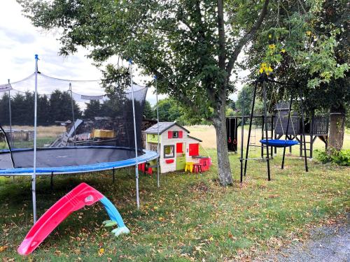 a park with a playground with a slide and a tree at Zimmer & Ferienwohnung Steuer in Leippe