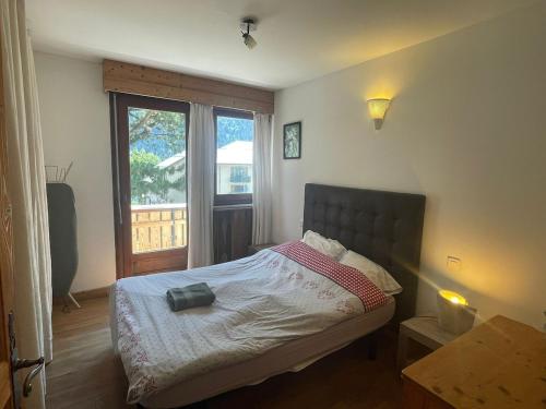 Spacious 2 bedroom apt with terrace Chamonix center
