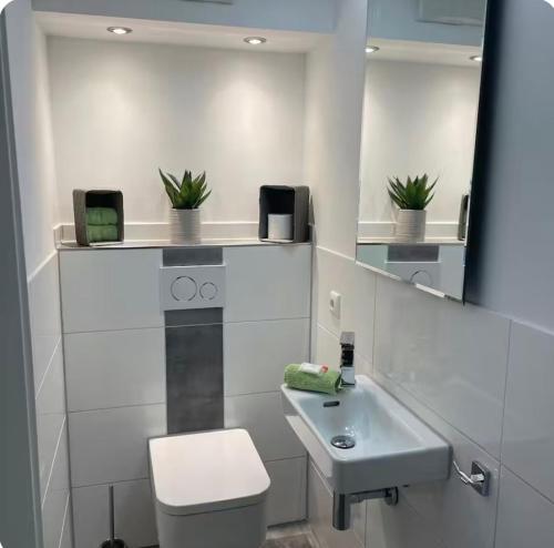 a bathroom with a sink and a toilet and a mirror at Winzer Lounge Ferienwohnung in Dernau