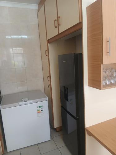 a small kitchen with a refrigerator and a dishwasher at 16 Laburnum lodge in Durban