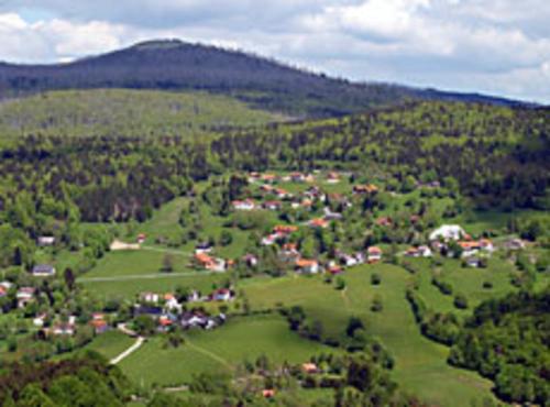a small town in the middle of a green field at Ferienwohnung Hernitscheck in Neuschönau