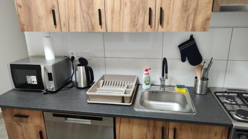 Una encimera de cocina con fregadero y microondas. en Apartmán pro 4 osoby Pohraniční stráže, Kraslice, en Kraslice