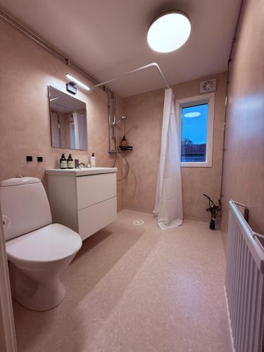 a bathroom with a toilet and a sink and a window at Mysig stuga Buared - Family nature stay in Varberg
