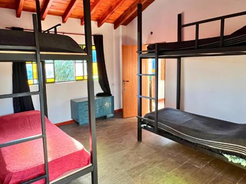 een slaapkamer met twee stapelbedden in een kamer bij Playa Hostel in Santa Rosa de Calamuchita