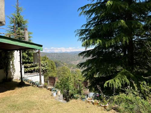 Naturlandskabet i nærheden af lejligheden