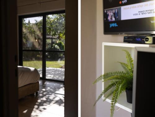 sala de estar con TV y planta en Nofey HaBashan Country Lodging, en Lahavot HaBashan