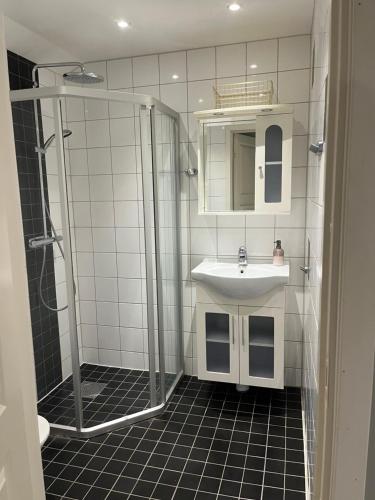 Ένα μπάνιο στο Enevångens lgh