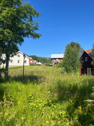 Φυσικό τοπίο κοντά σε αυτό το διαμέρισμα