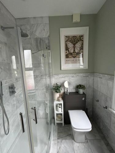 y baño con ducha y aseo. en Seaside apartment, en Bexhill-on-Sea