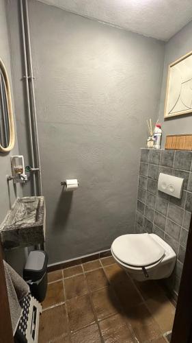 ein kleines Badezimmer mit Toilette und Waschbecken in der Unterkunft Laventure in Aywaille