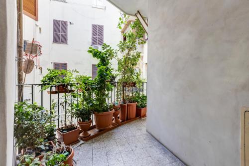 Fine Line House in Trastevere, with Puccio
