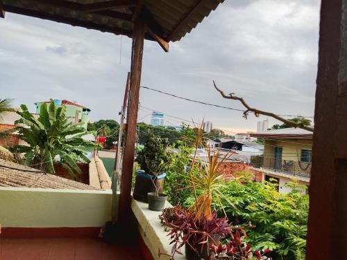 Κήπος έξω από το Pousada flores